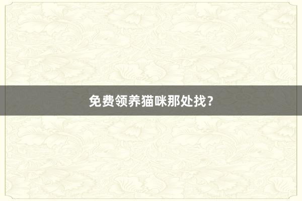 免费领养猫咪那处找？